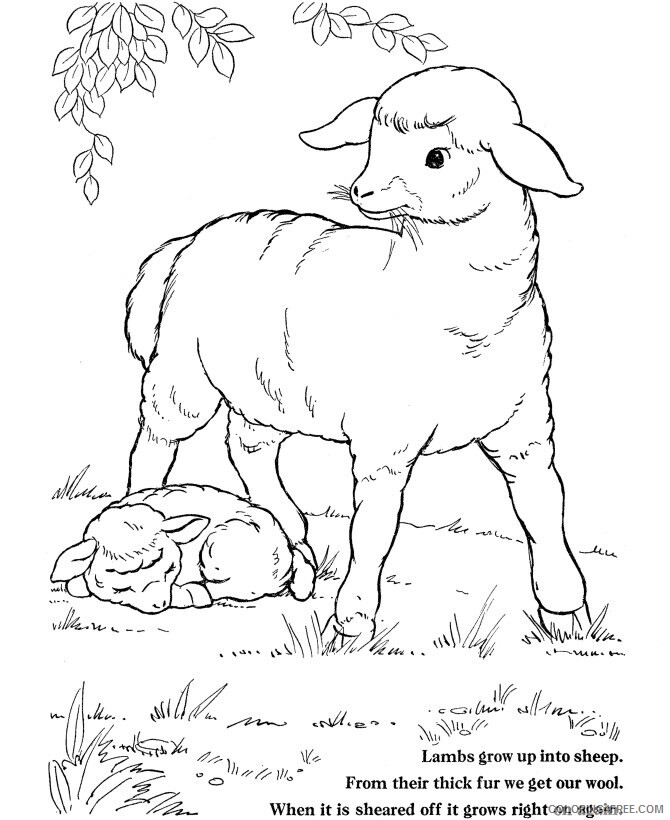 Animal Color Printable Sheets Sheep Farm Animals 2021 a 0091 Coloring4free