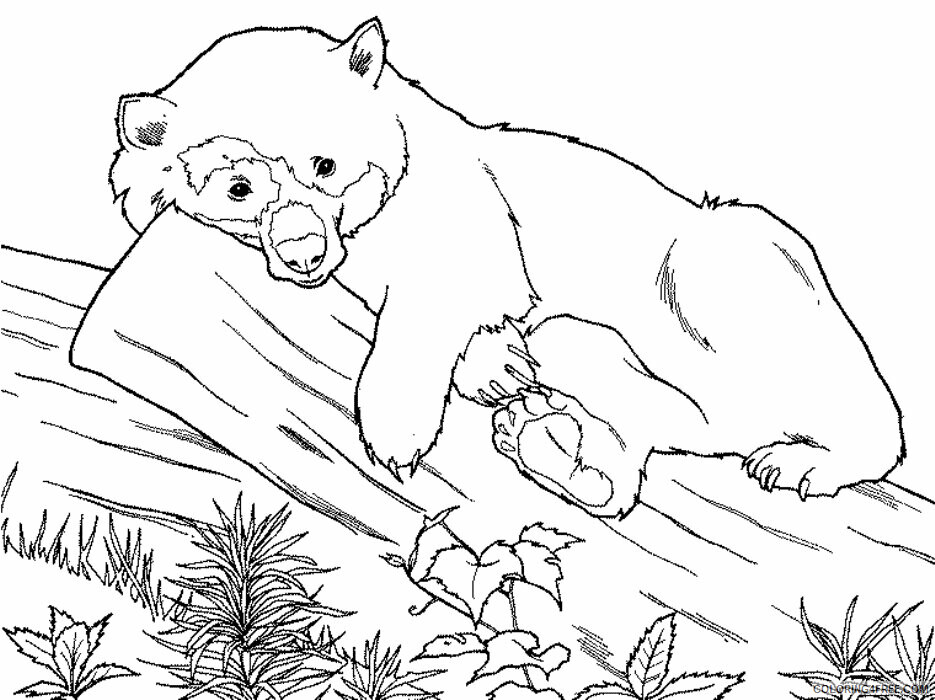 Animal Coloring Pages Free Printable Printable Sheets Download Free 2021 a 0400 Coloring4free