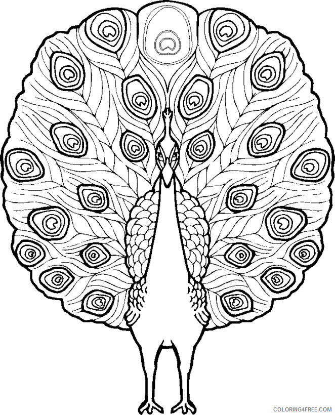 Animal Coloring Pages Free Printable Sheets Free Printable Peacock Pages 2021 a 0395 Coloring4free