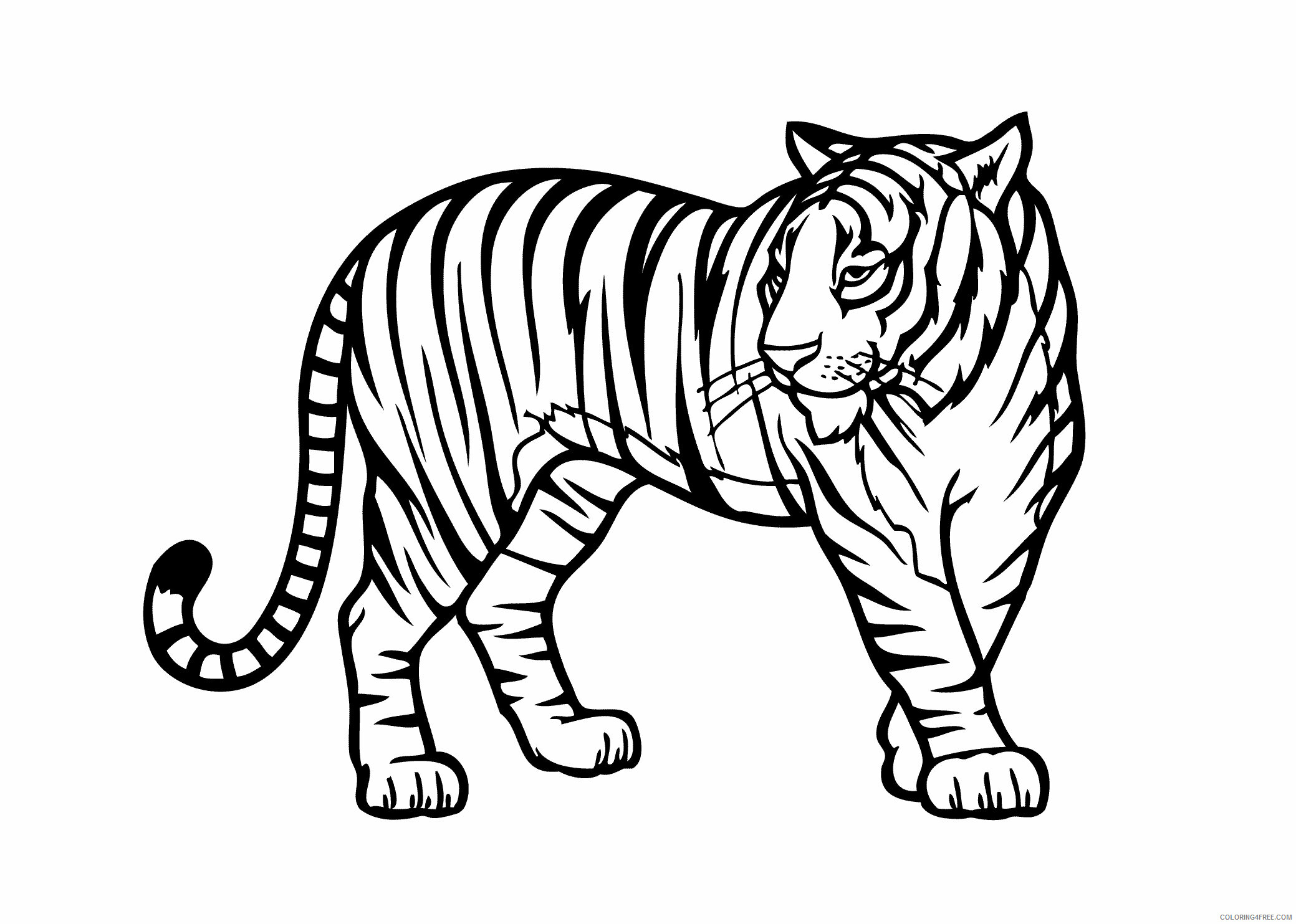 Animal Coloring Pages Printable Free Printable Sheets Animal Tiger Coloring 2021 a 0453 Coloring4free