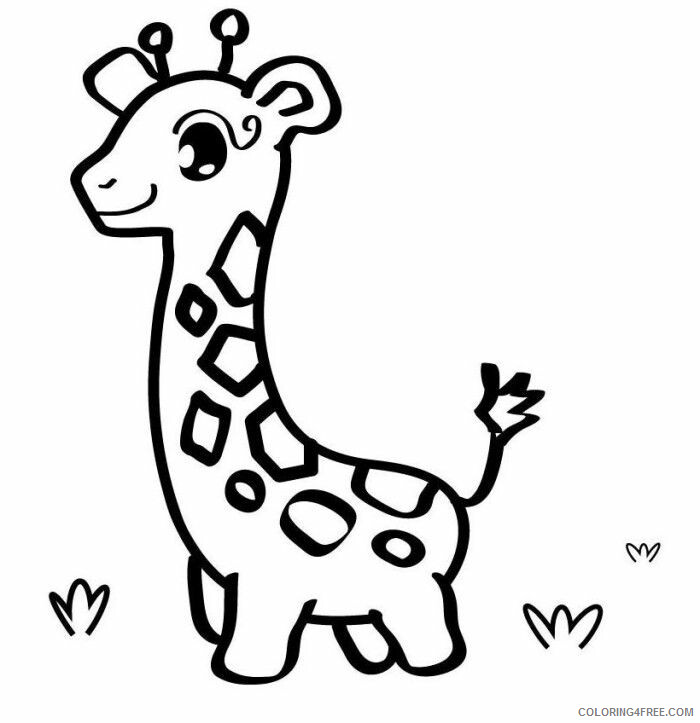 Animal Coloring Pages Printable Free Printable Sheets Baby Giraffe For 2021 a 0455 Coloring4free
