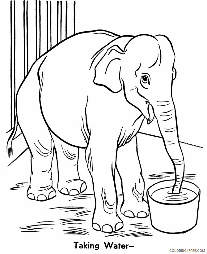 Animal Coloring Pages for Kids Printable Printable Sheets zoo animal Elephant 2021 a 0316 Coloring4free
