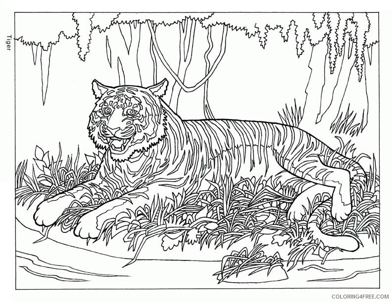 Animal Coloring Pages for Teens Printable Sheets Colouring Page jpg 2021 a 0358 Coloring4free
