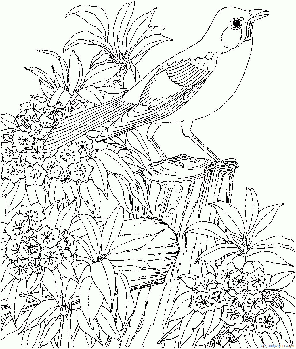 Animal Coloring Pages for Teens Printable Sheets for teenagers difficult 2021 a 0356 Coloring4free