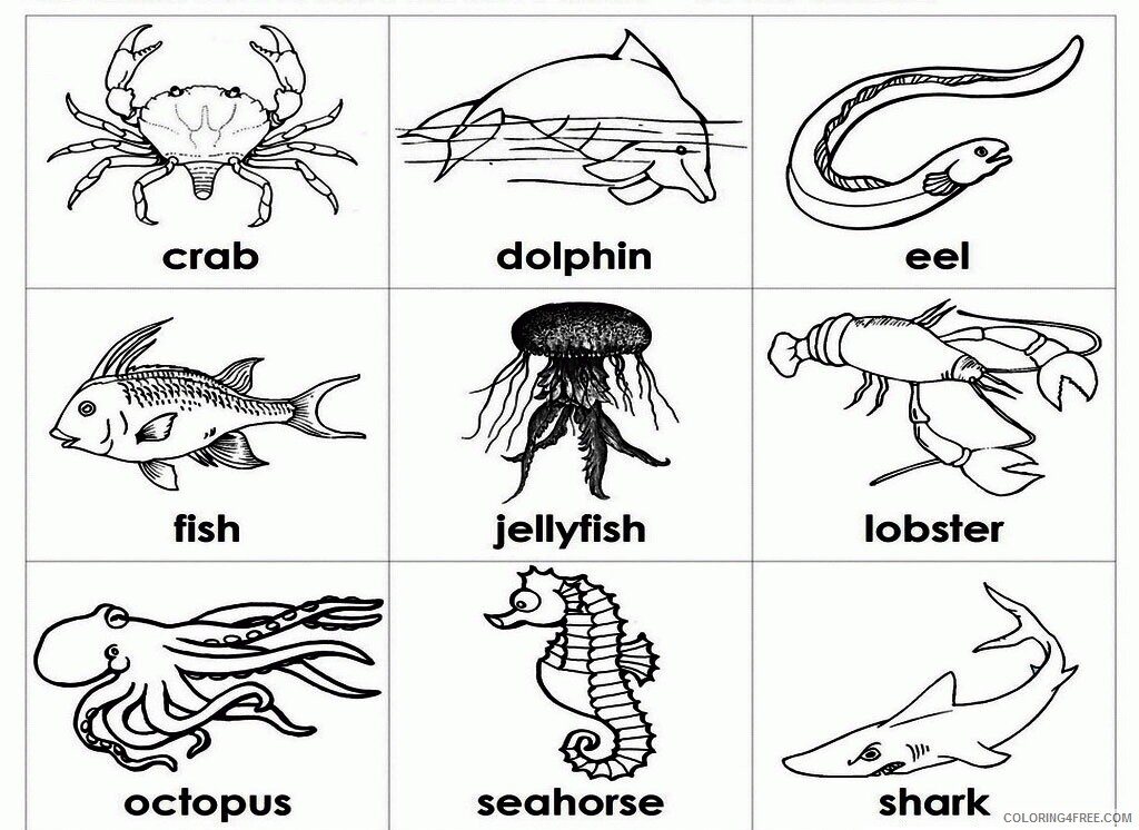 Animal Coloring Pages of Ocean Animals Printable Sheets Ocean Animal 18 2021 a 0417 Coloring4free