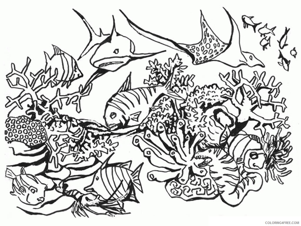 Animal Coloring Pages of Ocean Animals Printable Sheets Sea Creature 20 2021 a 0420 Coloring4free