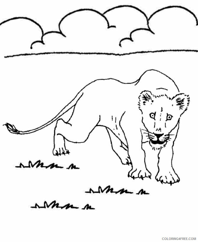 Animal Coloring Pics Printable Sheets Animal – Lion 2021 a 0466 Coloring4free