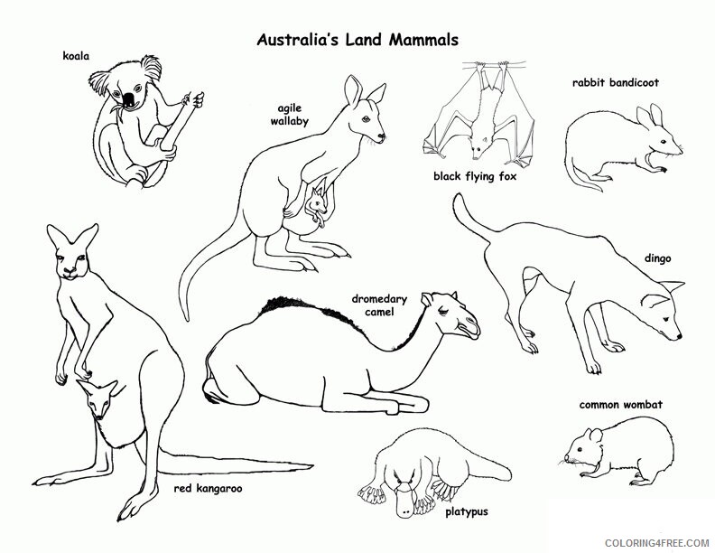 Animal Habitat Coloring Pages Printable Sheets Australia Habitats and Activities 2021 a Coloring4free