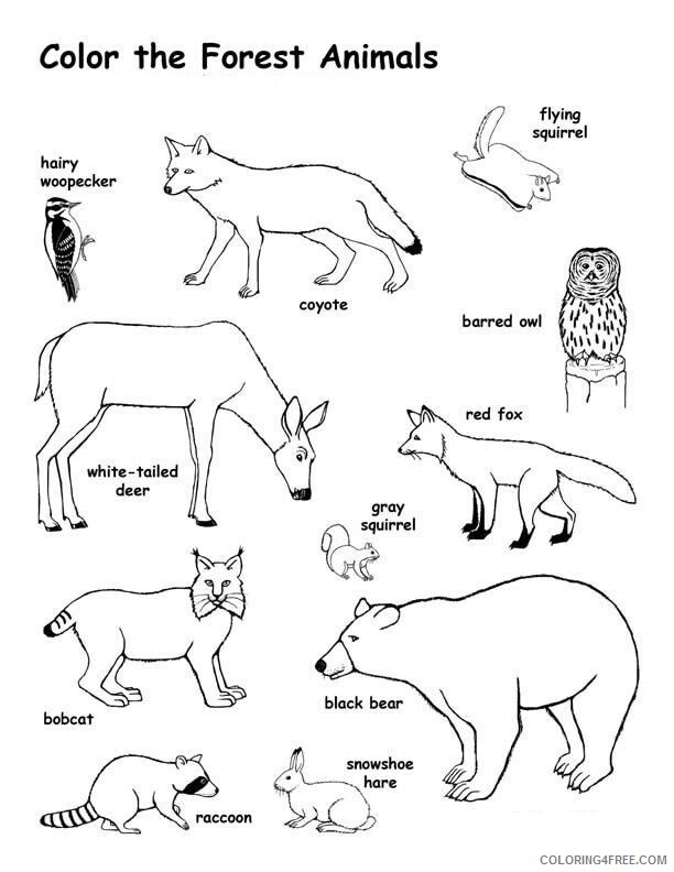 Animal Habitat Coloring Pages Printable Sheets Pin by Amy Tarrance on 2021 a 0507 Coloring4free