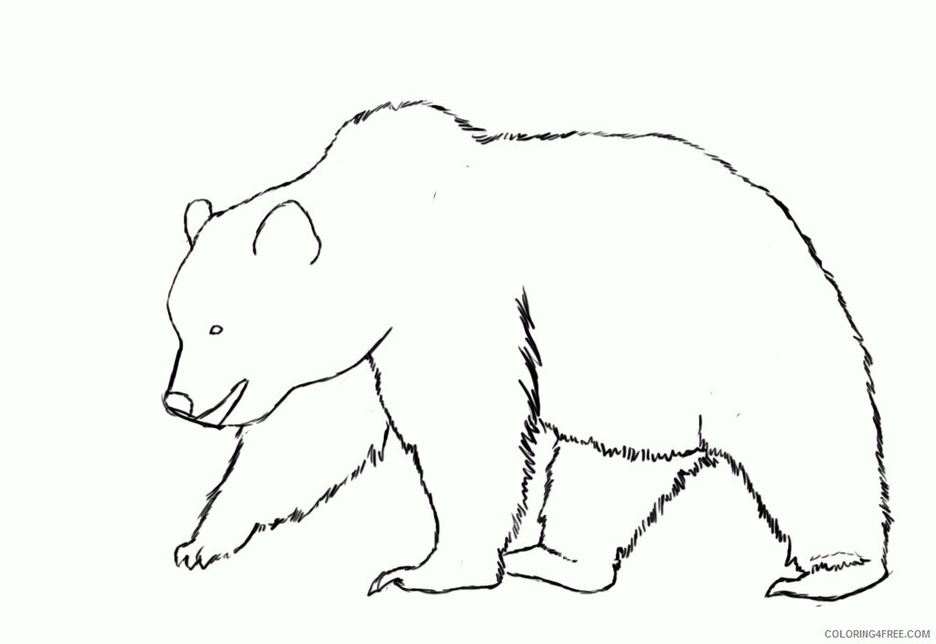 Animal Outline Printable Sheets How To Draw A Bear 2021 a 0581 Coloring4free