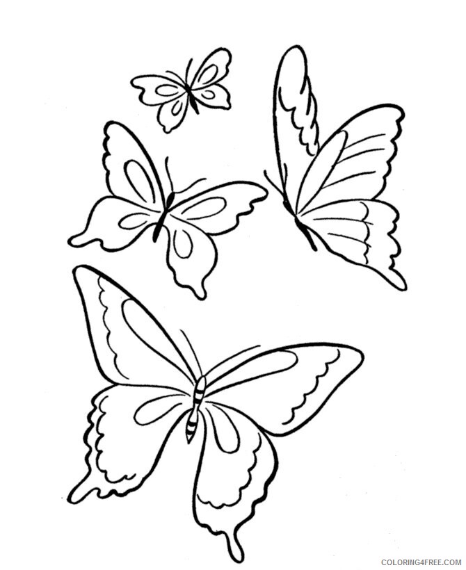 Animal Outline Printable Sheets butterfly outline Picture HD 2021 a 0568 Coloring4free