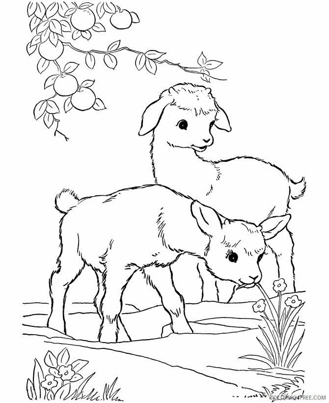 Animal Outline Printable Sheets farm animal for 2021 a 0574 Coloring4free