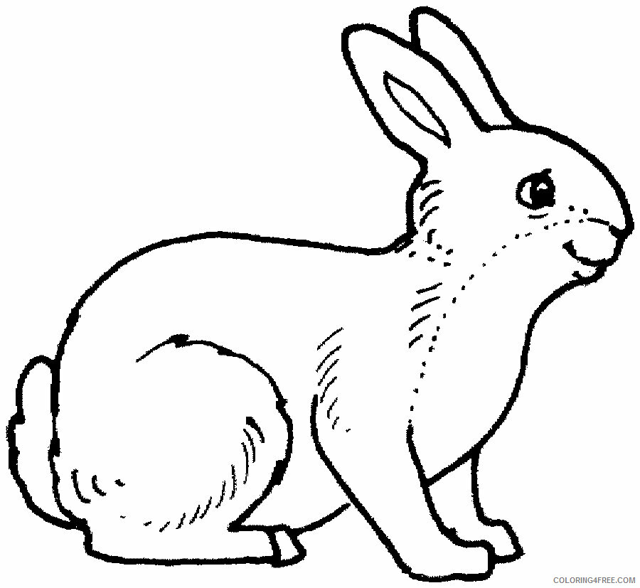 Animal Pictures to Color Printable Sheets Free Printable Rabbit Pages 2021 a 0670 Coloring4free
