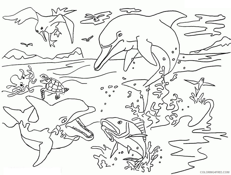 Animal Pictures to Print Printable Sheets Animal Page Dolphin Print 2021 a 0683 Coloring4free