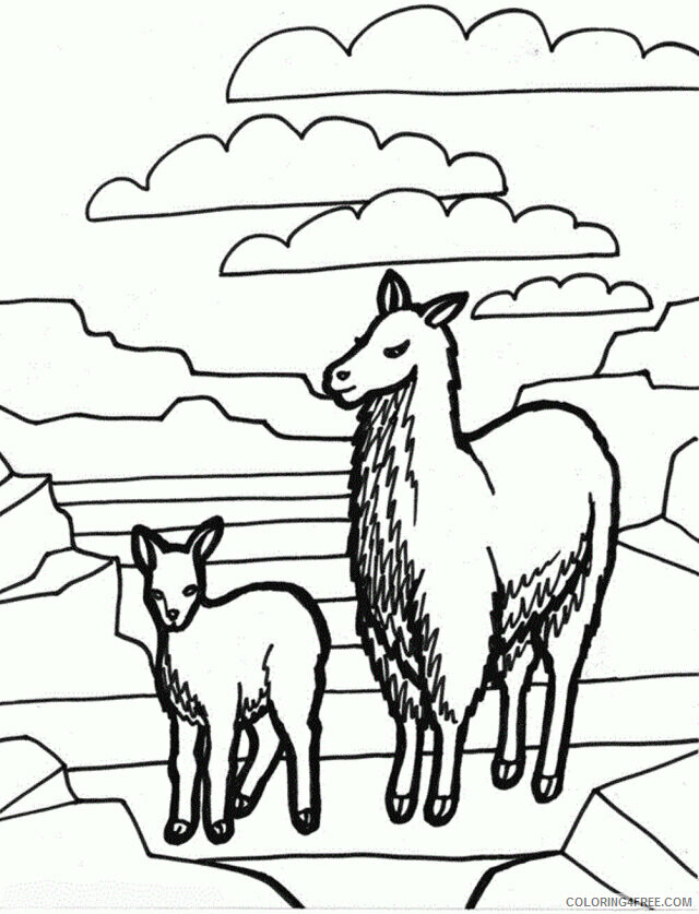 Animal Pictures to Print Printable Sheets Download Mother And Baby Llama 2021 a 0699 Coloring4free