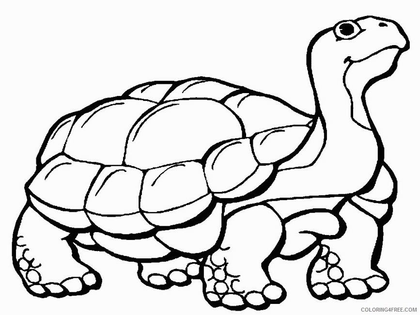 Animal Pictures to Print and Color Printable Sheets Desert Tortoise page Animals 2021 a 0713 Coloring4free
