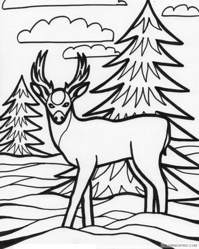 Animal Print Pictures Printable Sheets deer jpg 2021 a 0737 Coloring4free