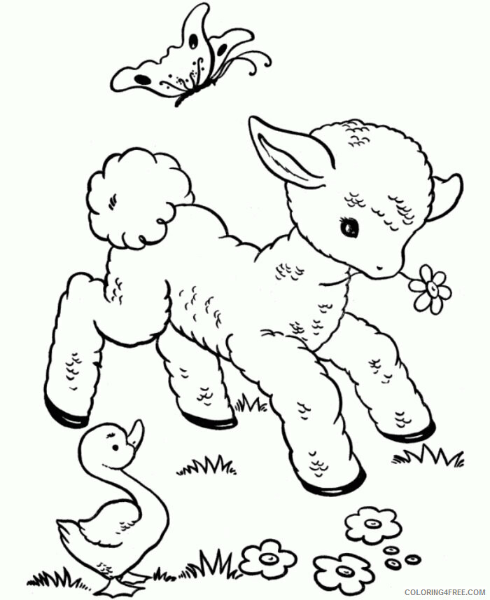 Animal Printouts Printable Sheets Free Printable Sheep Pages 2021 a 0806 Coloring4free