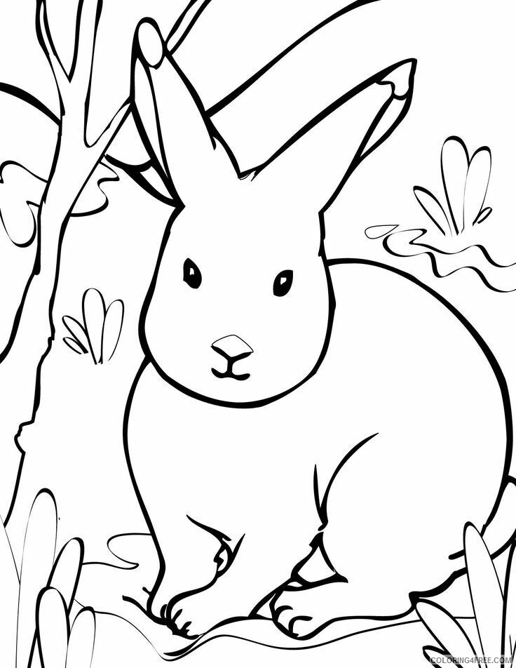 Animal Prints Images Printable Sheets rabbit jpg 2021 a 0822 Coloring4free