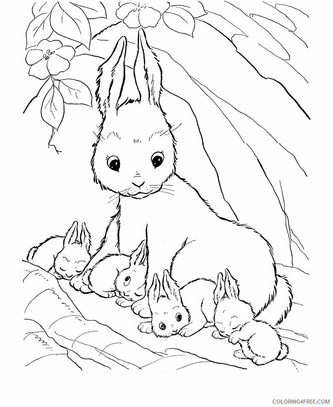 Animals Coloring Page Printable Sheets Of Animals And 2021 a 0955 Coloring4free