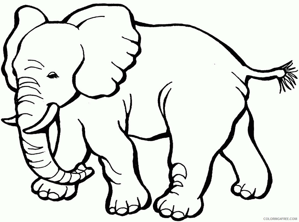 Animals Kids Coloring Pages Printable Sheets Pictures Printable Animals High 2021 a 1037 Coloring4free