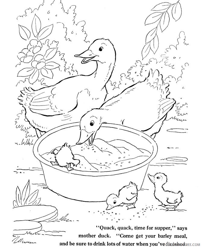 Animals Pictures to Color Printable Sheets Ducks sheets to color Farm 2021 a 1146 Coloring4free