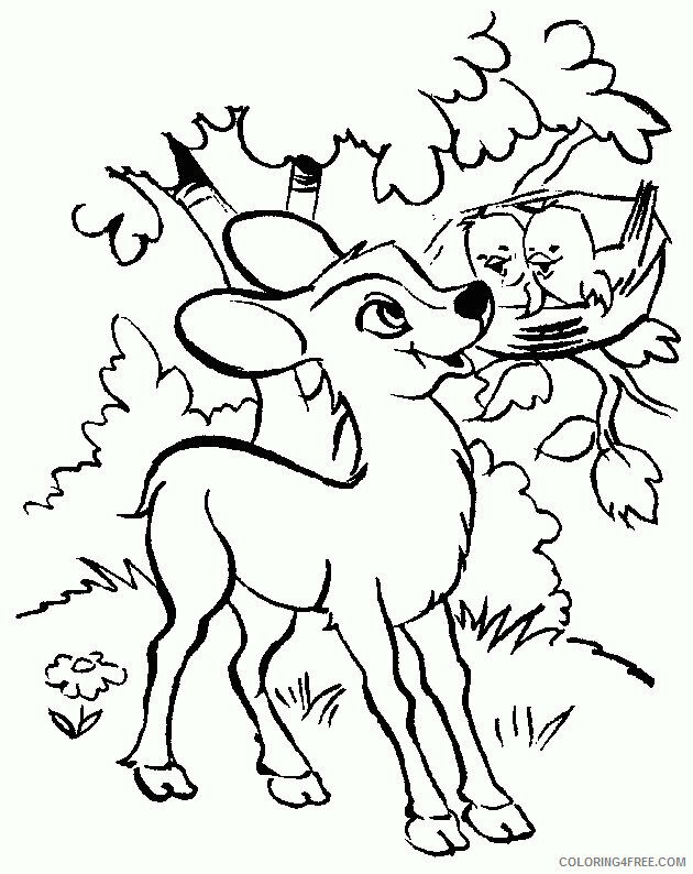 Animals Print Printable Sheets Animals Deer print pages 2021 a 1153 Coloring4free