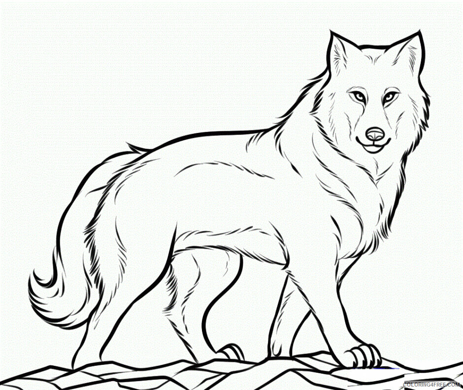 Anime Wolf Coloring Pages Printable Sheets Baby Wolf Download 2021 a 1433 Coloring4free