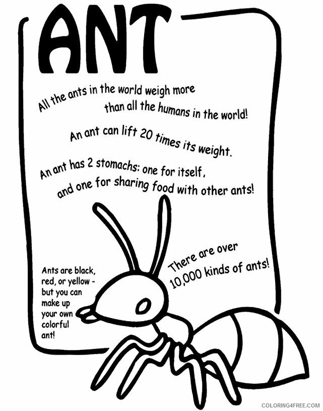 Ant Color Page Printable Sheets Free Ant Coloring 2021 a 1550 Coloring4free