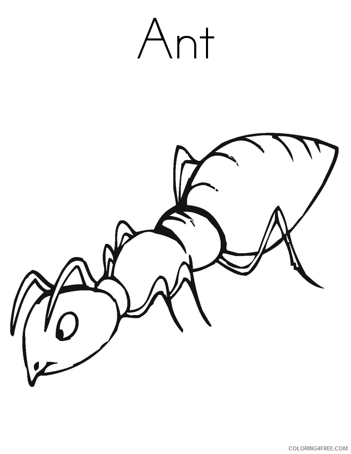 Ant Color Page Printable Sheets a for ant Colouring Pages 2021 a 1537 Coloring4free