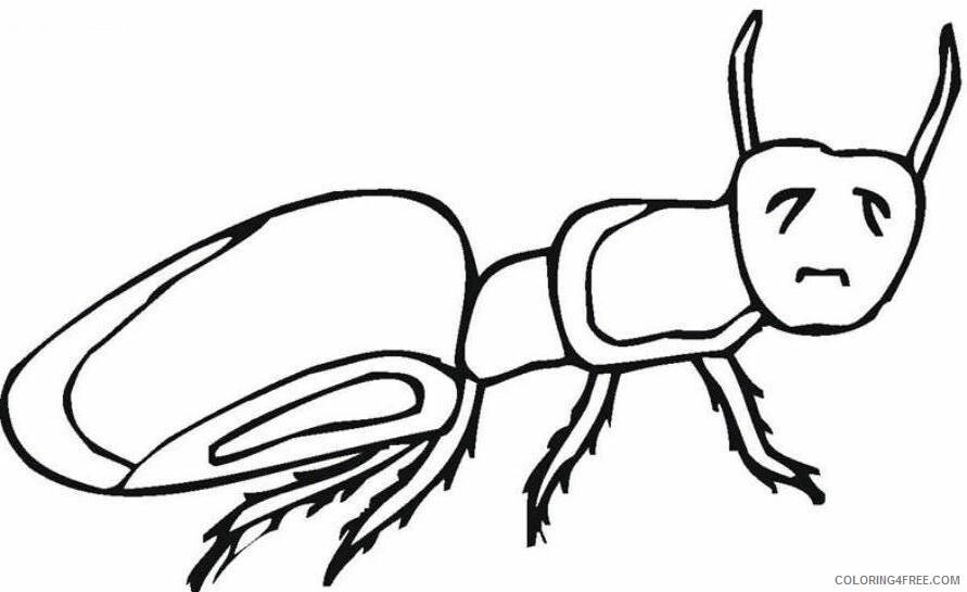 Ant Coloring Page Printable Sheets Free Printable Ant Pages 2021 a 1572 Coloring4free