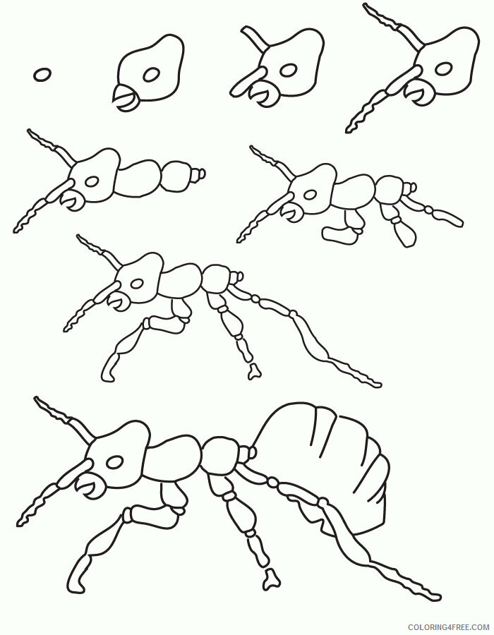 Ant Picture Printable Sheets Drawing ant jpg 2021 a 1597 Coloring4free