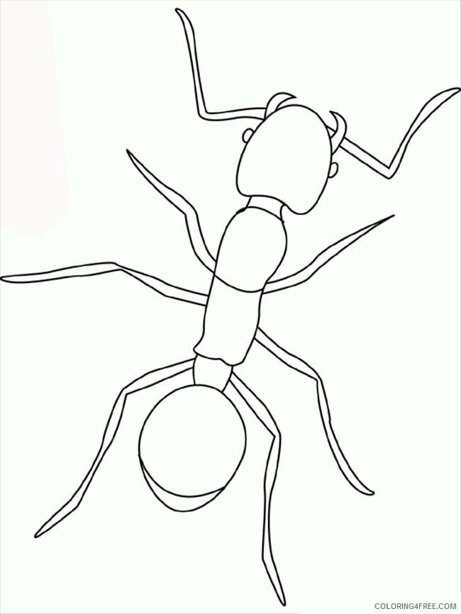 Ant Pictures for Kids Printable Sheets Free Printable Ant Pages 2021 a 1619 Coloring4free