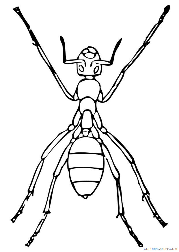 Ant Pictures for Kids Printable Sheets Free Printable Ant Pages 2021 a 1621 Coloring4free