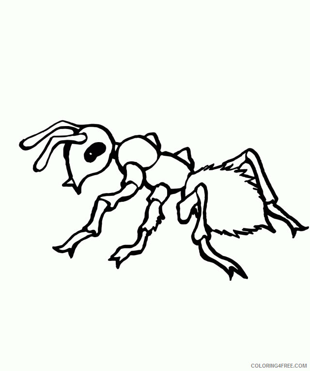 Ant Pictures for Kids Printable Sheets Inspirational Ant Page For 2021 a 1625 Coloring4free
