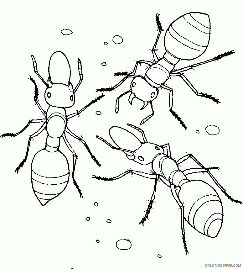 Ant Pictures for Kids Printable Sheets Printables Ant Ant 2021 a 1627 Coloring4free