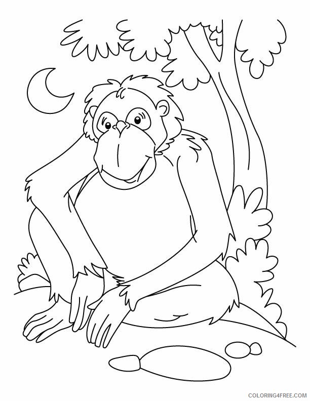Ape Coloring Page Gorilla Printable Sheets Chimpanzee waiting page Download 2021 a 1735 Coloring4free