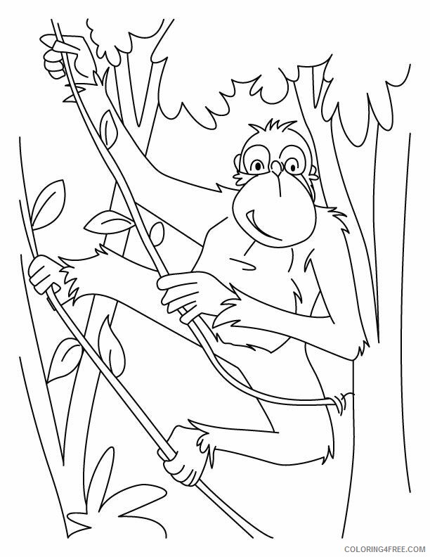 Ape Coloring Page Gorilla Printable Sheets Chimpanzees rope ladder pages 2021 a 1736 Coloring4free