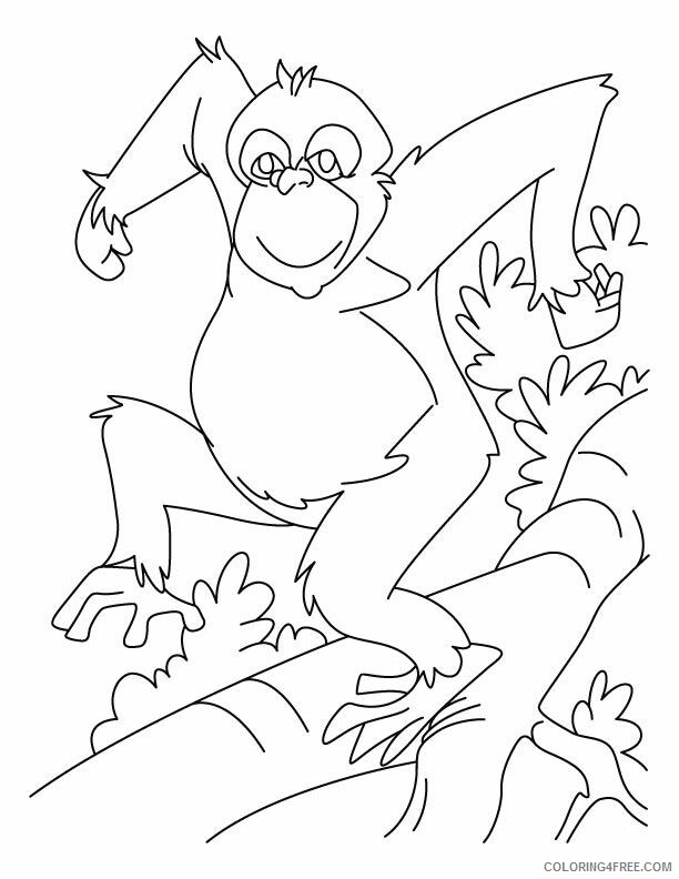 Ape Coloring Page Gorilla Printable Sheets Dancing chimpanzee Download 2021 a 1737 Coloring4free