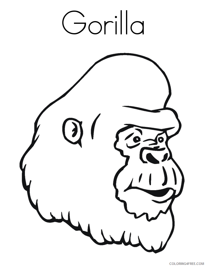 Ape Coloring Page Gorilla Printable Sheets Gorilla Page Twisty Noodle 2021 a 1738 Coloring4free