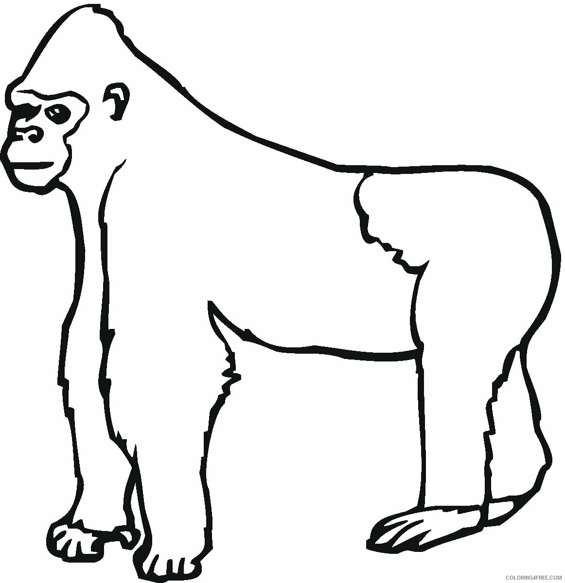 Ape Coloring Page Gorilla Printable Sheets Gorilla Panda 2021 a 1739 Coloring4free