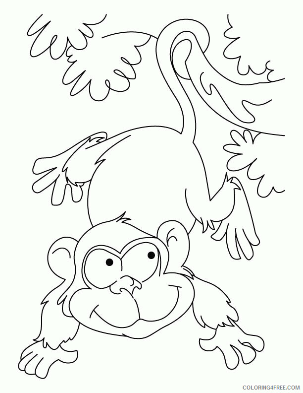 Ape Coloring Page Gorilla Printable Sheets Playing ape Download 2021 a 1740 Coloring4free