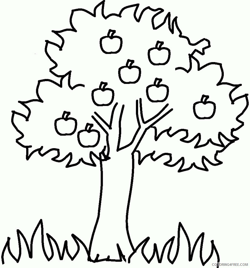 Apple A Fruit or Vegetable Printable Sheets The Apple Tree Page 2021 a 1814 Coloring4free