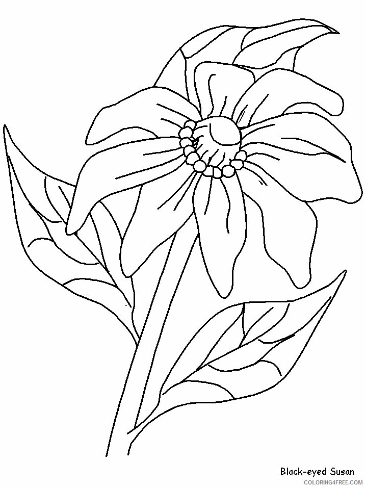 Apple Blossom Coloring Page Printable Sheets Page Place Animal Coloring 2021 a 1842 Coloring4free