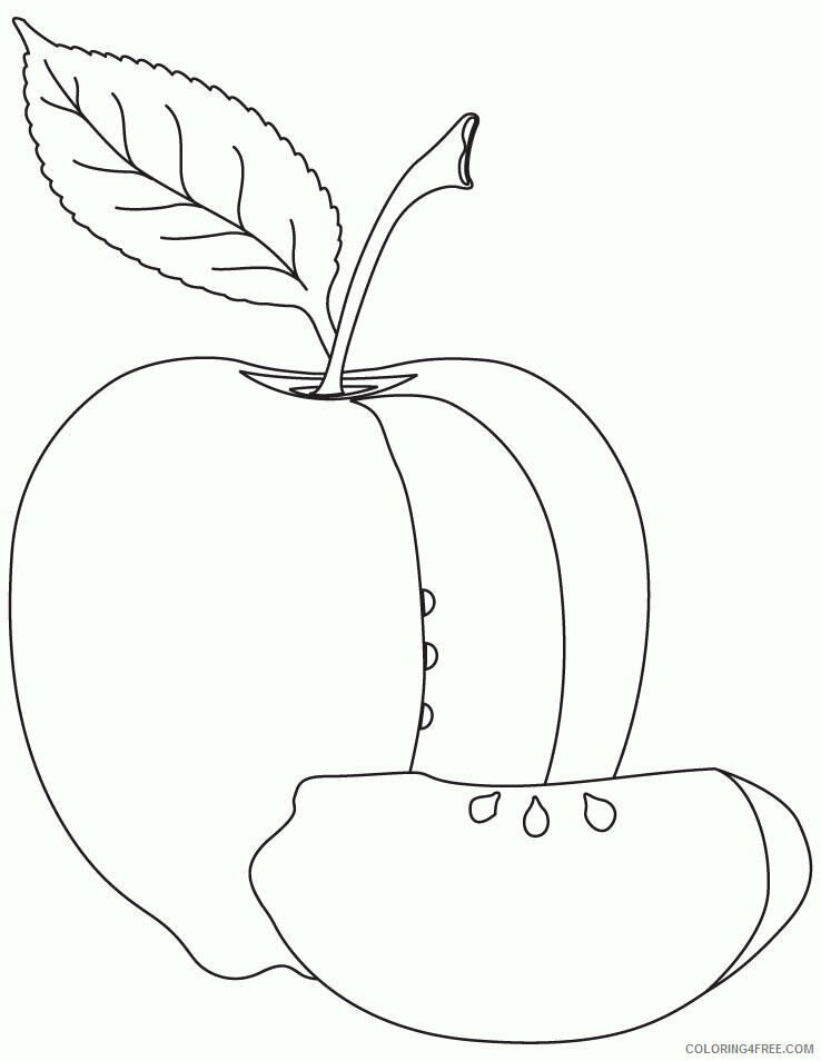 Apple Coloring Pages for Kids Printable Sheets Apple sheet Download Free 2021 a 1908 Coloring4free