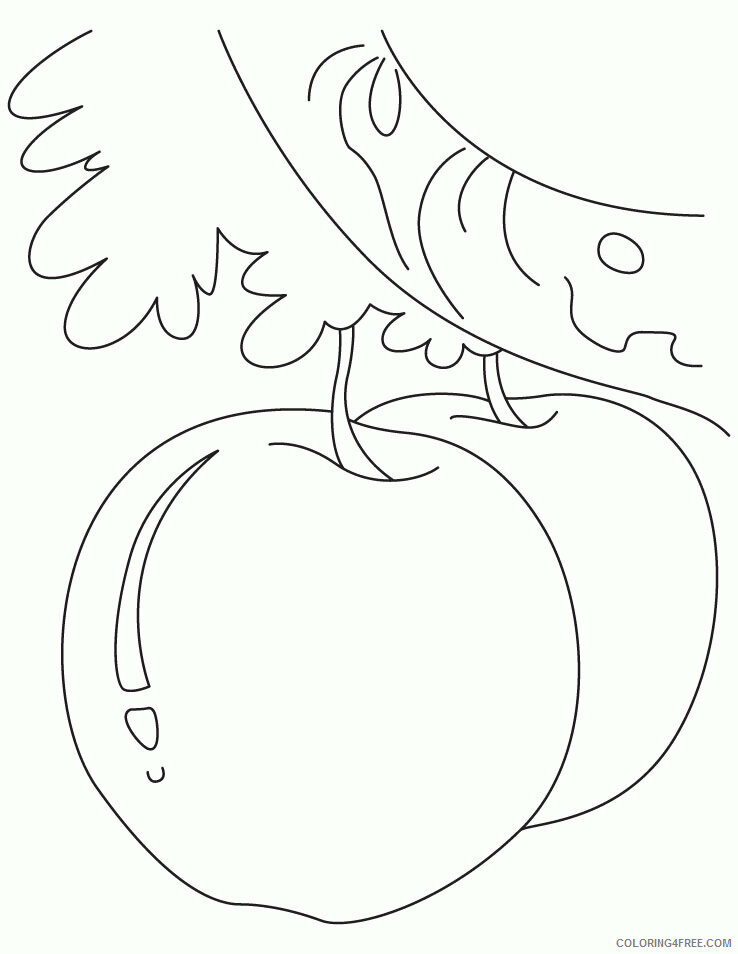 Apple Coloring Picture Printable Sheets Apple Picture for kids 2021 a 1935 Coloring4free