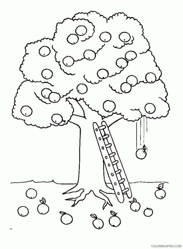 Apple Coloring Picture Printable Sheets Tree Apple Tree 2021 a 1949 Coloring4free