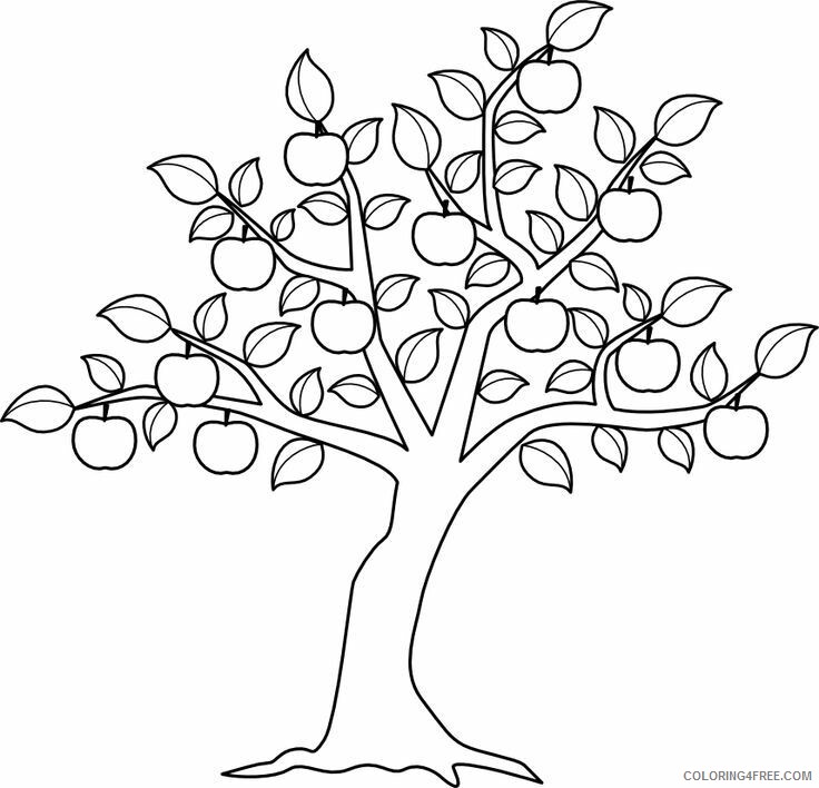 Apple Coloring Printable Sheets Apple Tree Yepper 2021 a 1890 Coloring4free