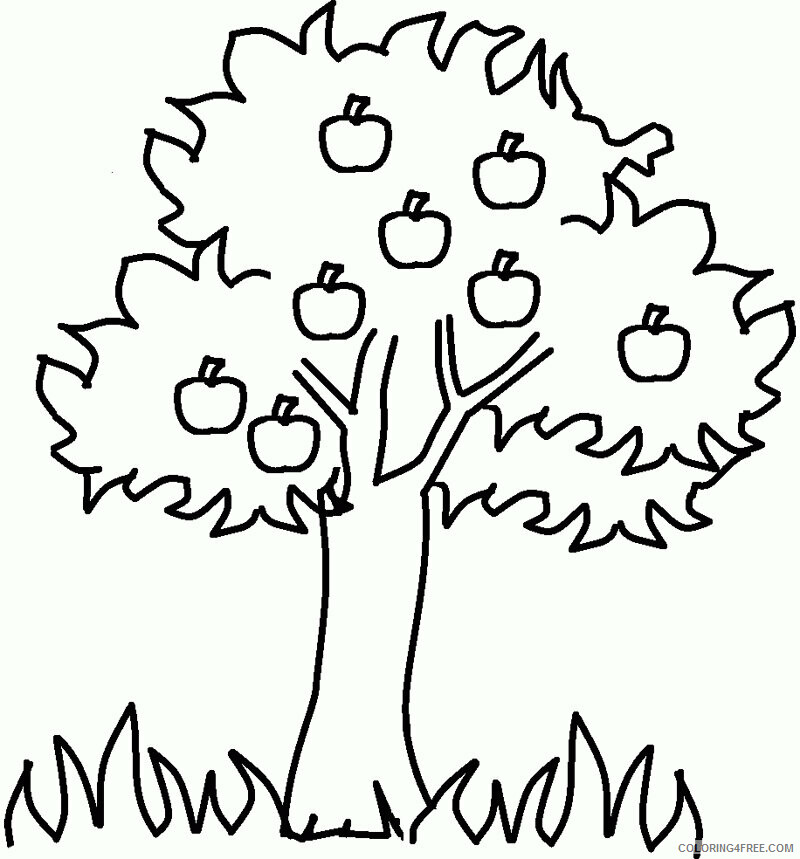 Apple Coloring Printable Sheets The Apple Tree Page 2021 a 1897 Coloring4free