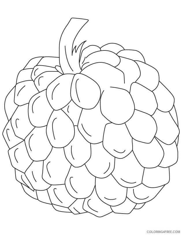 Apple Fruit Images Printable Sheets custated apple Colouring jpg 2021 a 1978 Coloring4free